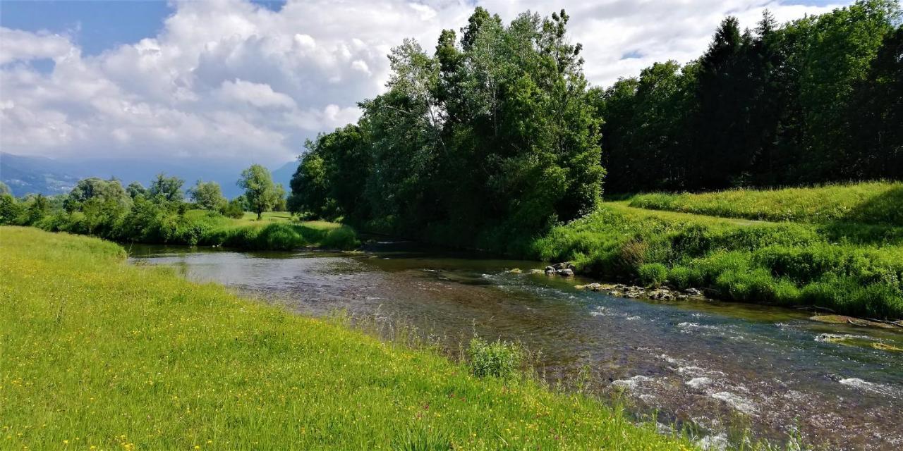 Hämmerle´s *