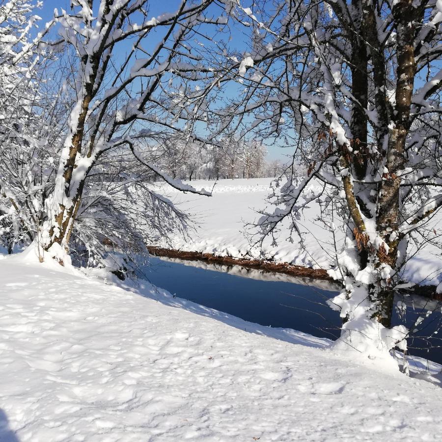Hämmerle´s Lustenau